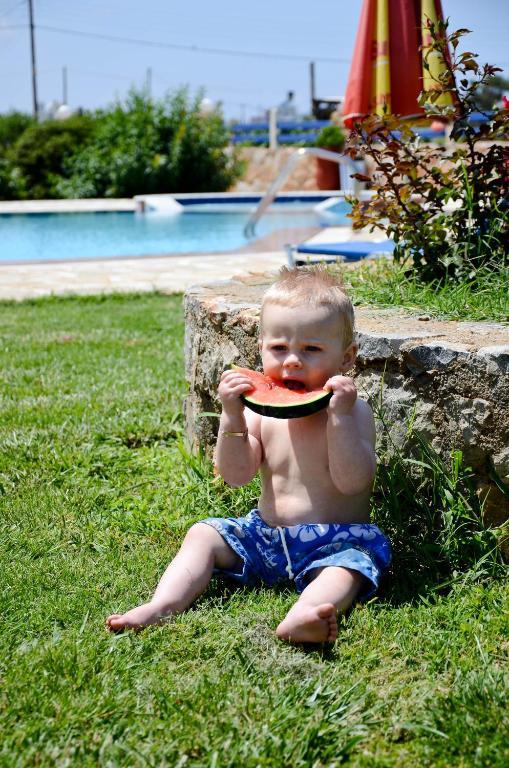 Cretan Family Apartments มาเลีย ภายนอก รูปภาพ